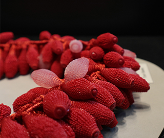 5th October 2019<br>Beesnes