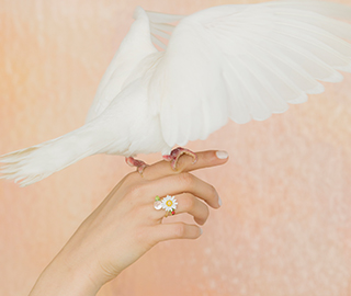 23rd July 2019<br>Cercabando