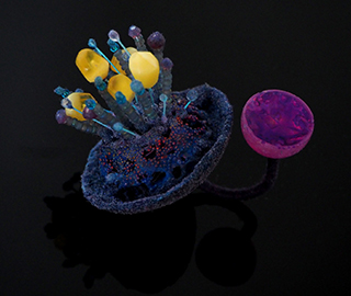 23rd October 2019<br>La Repubblica Design