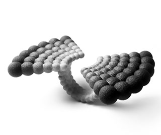 18th March 2019<br>Class Life