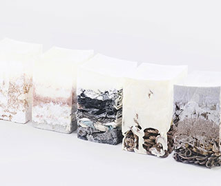 10th January 2019<br>Made in Italy