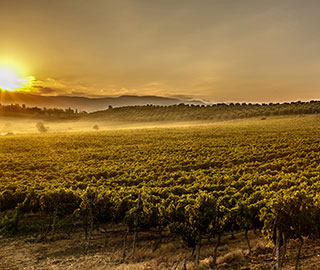 22nd January 2020<br>Beverfood