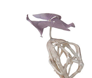 18th February 2019<br>La Milano