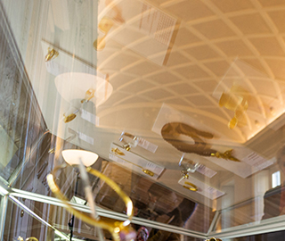 12nd February 2019<br>A Milano Puoi