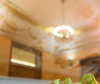 11st February 2019<br>GZ Online