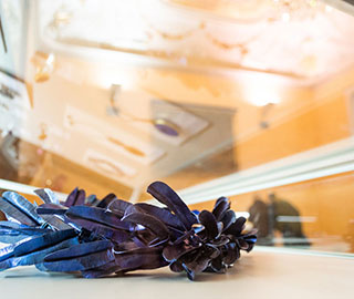 23rd February 2018<br>Repubblica