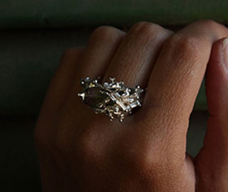 13rd February 2018<br>Amica