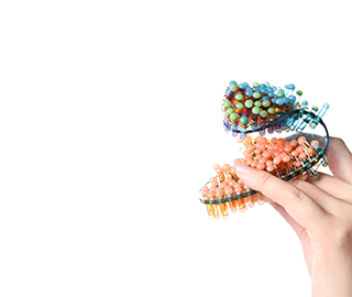 17th December 2018<br>CNA Federmoda