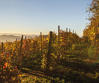 22nd January 2020<br>Horecanews.it