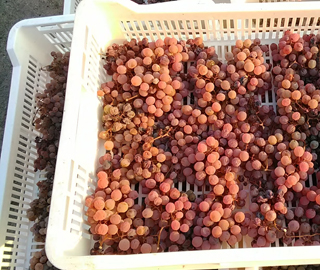 10th May 2019<br>Sardegna Reporter