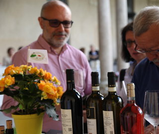 6th May 2018<br>Wiki Eventi