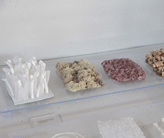 17th February 2018<br>La casa in ordine