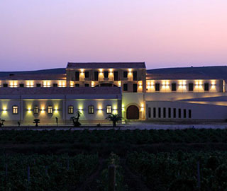 1st November 2019<br>Il Nuovo Lupo