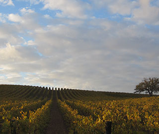 2nd December 2019<br>Informazione.it