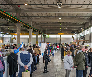 5th April 2019<br>Wise Society