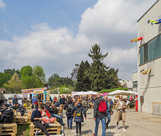 30th March 2019<br>DDN Blog