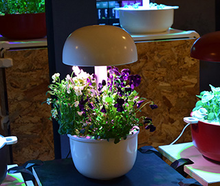 14th December 2017<br>Designedoo.it