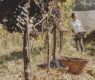 13th December 2019<br>Mentelocale