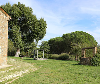 5th December 2019<br>Sapori News