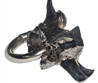 26th February 2018<br>Revista Catarina