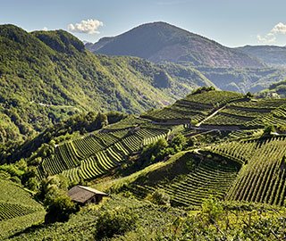 7th December 2019<br>FourExcellences