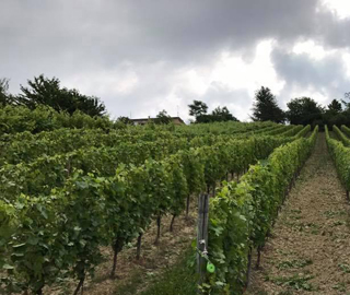 20th May 2019<br>Forumdiagraria.org