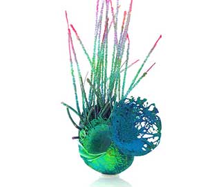 1st September 2019<br>WD WATCH DIGEST