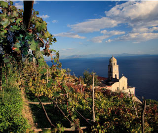 3rd October 2020<br>Calderone News