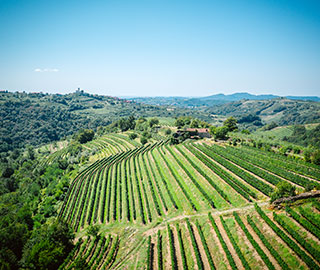 25th September 2020<br>Enopress