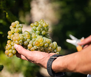 25th September 2020<br>Food and Wine Magazine