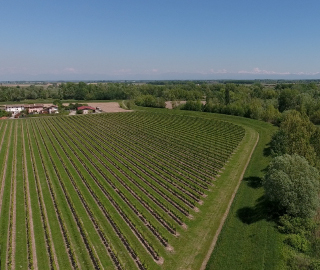 11st September 2020<br>FourExcellences