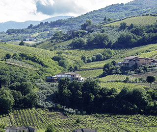 29th September 2020<br>James Magazine