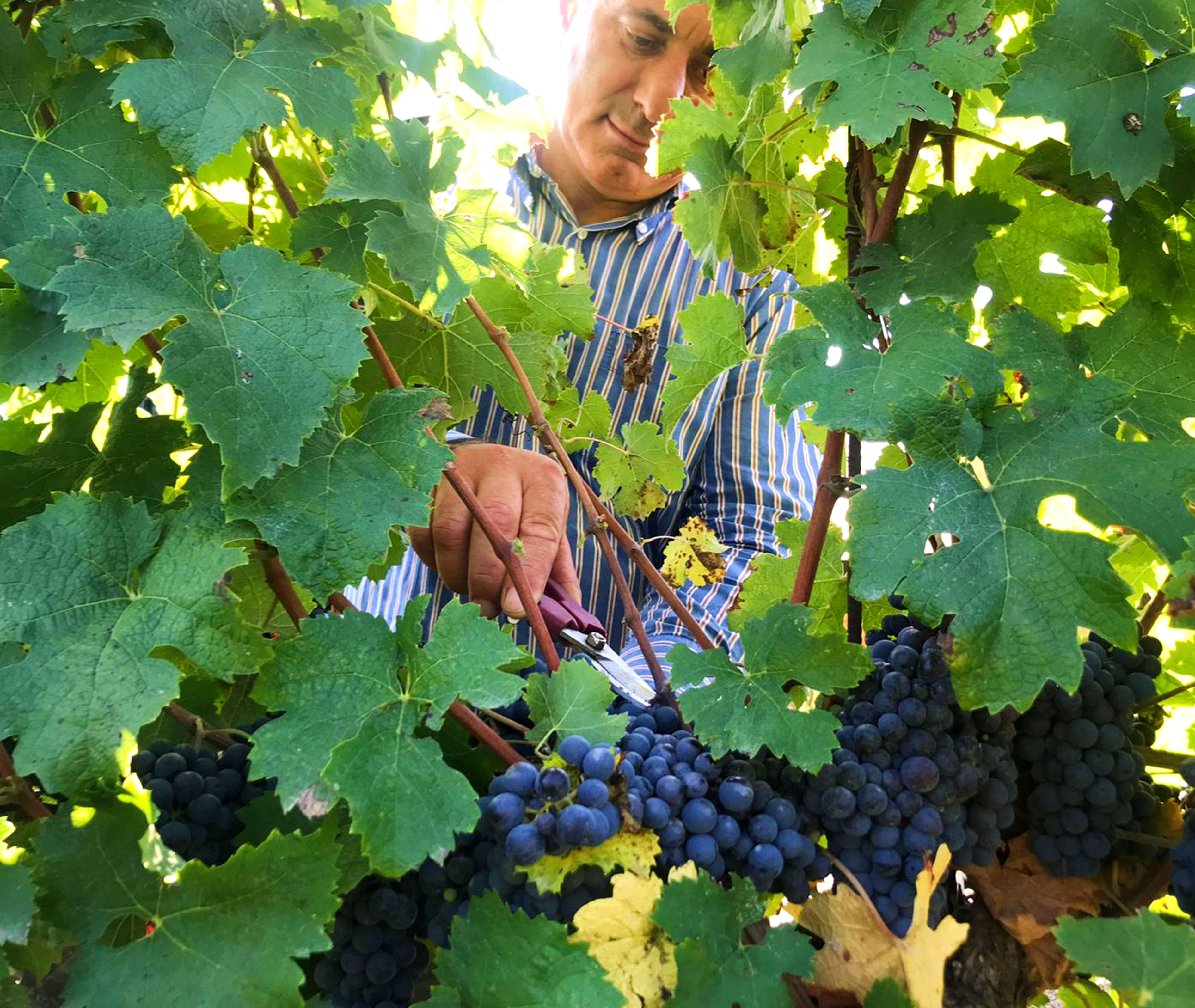 23rd January 2020<br>Comunicato Stampa.org