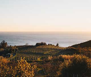 19th June 2020<br>Horecanews.it