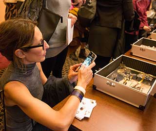 26th February 2020<br>Gioiellis