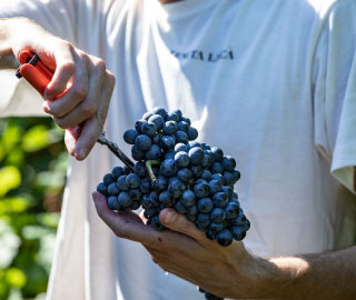 22nd September 2020<br>Racconti dal vicinato