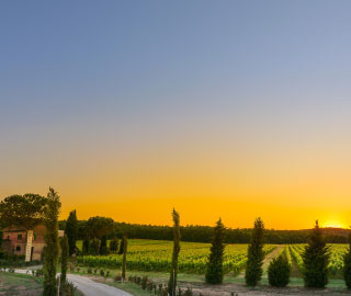 23rd September 2020<br>SpecialeItaliadelGusto