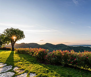 6th October 2020<br>DiVinum