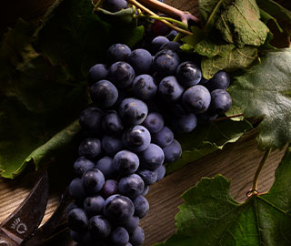 23rd September 2020<br>Global Media News