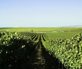 16th October 2020<br>Milano Events.it