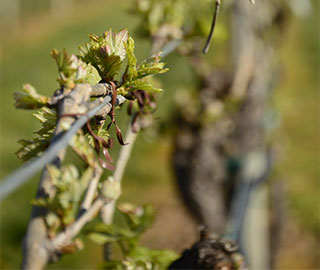 November – December 2020<br>Vivere la Casa