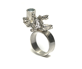 31th JAnuary 2017 <br> Il CIttadino