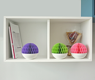 7th November 2018 <br> Lulop