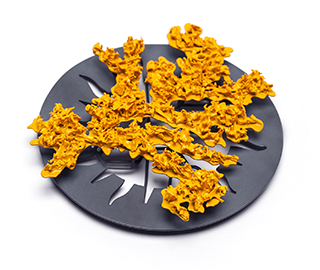 5th July 2016 <br> Assamblage