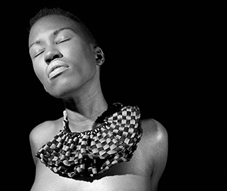 1st March 2017 <br> Assamblage