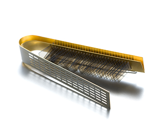 13th February 2017 <br> Golden Backstage