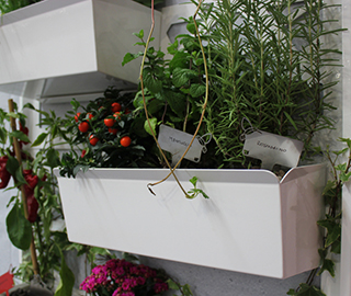 15th March 2014 <br> Culturame.it