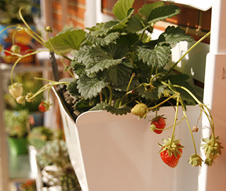 21st March 2014 <br> Design First