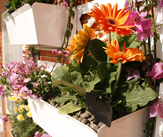 17 April 2014 <br> Il Ghirlandaio