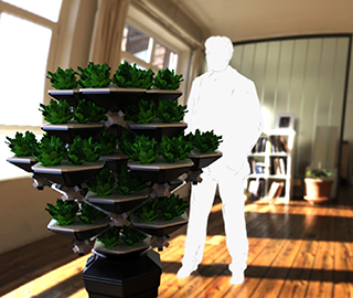 1st March 2017 <br> Greentime.land